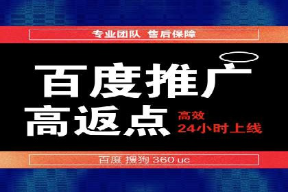 百度推广实战攻略：案例与策略